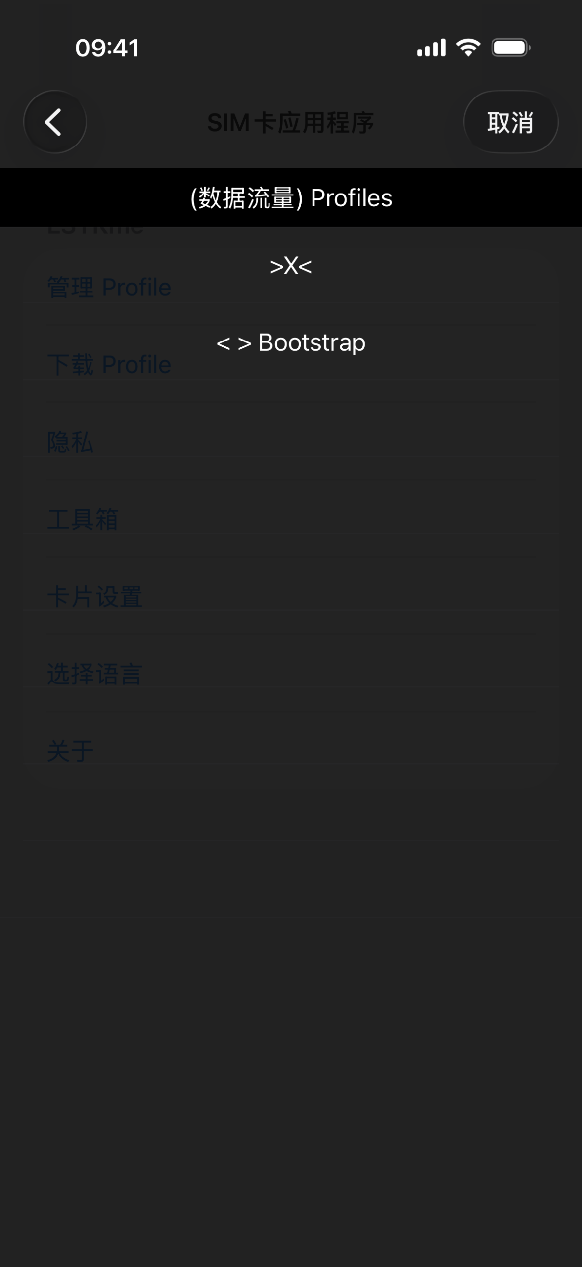 ESTKme 卡片 “管理 Profile” 菜单界面
