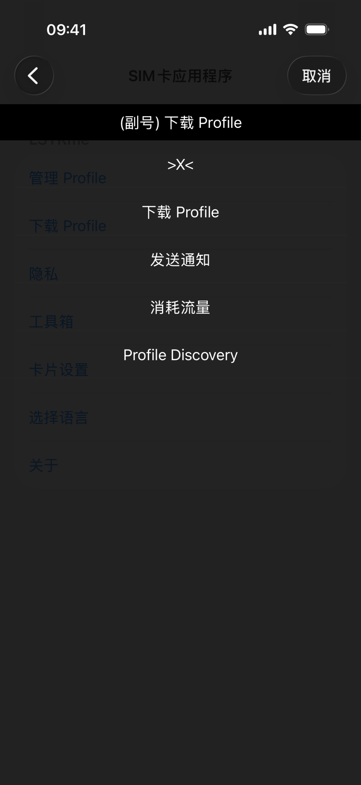 ESTKme “下载 Profile” 可操作功能列表