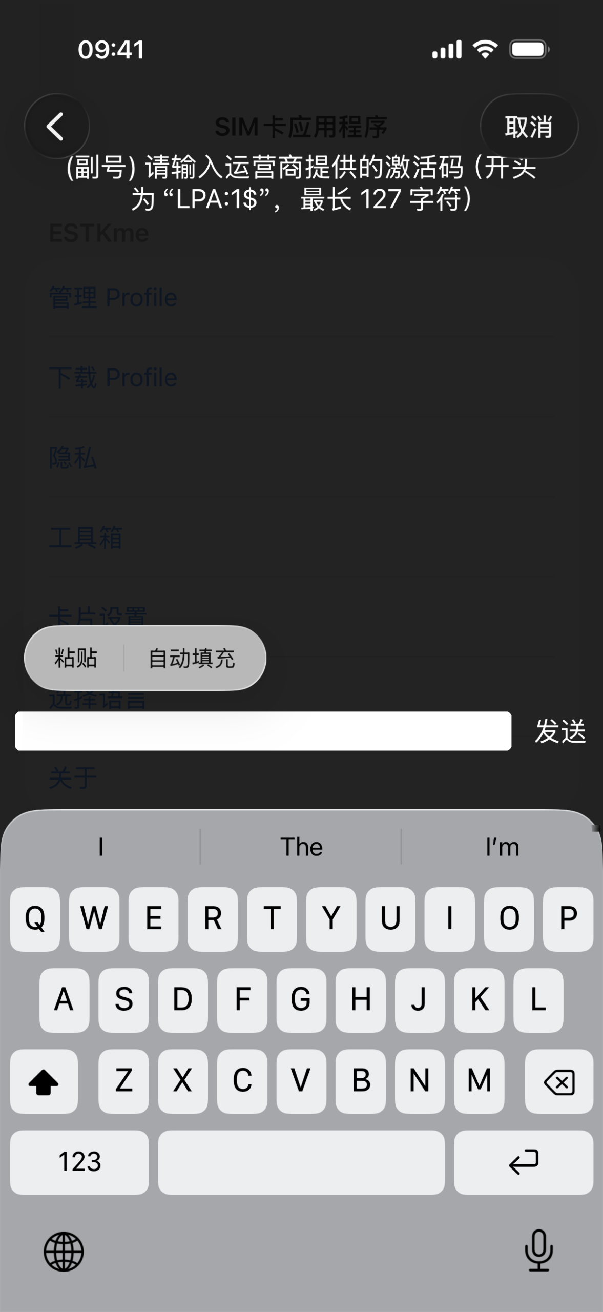 ESTKme 输入激活码至 “下载 Profile”